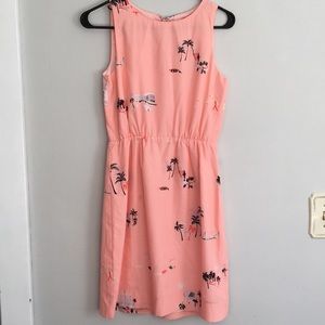 J. Crew summer dress